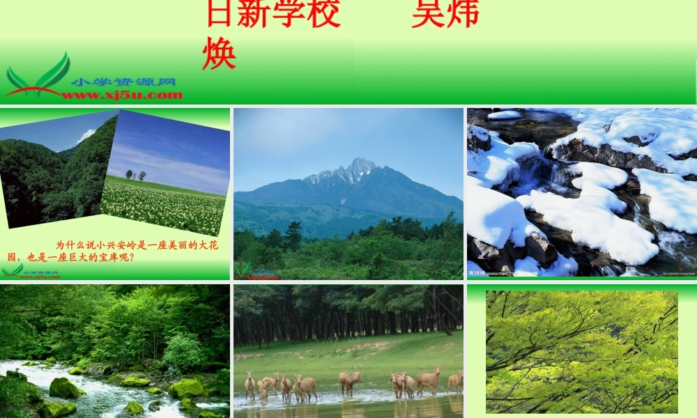 美丽的小兴安岭（成品）