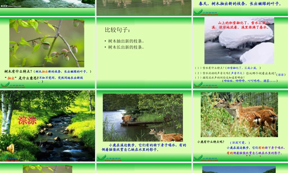 美丽的小兴安岭（成品）