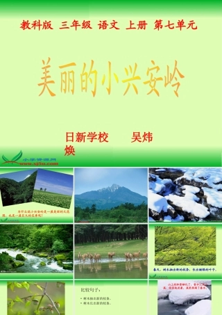 美丽的小兴安岭（成品）