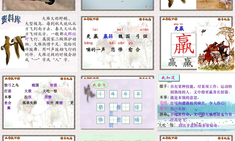 惊弓之鸟课件修改孙