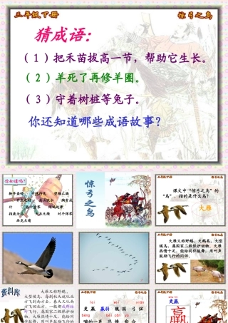 惊弓之鸟课件修改孙