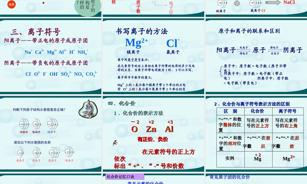 初三化学用语复习平行班