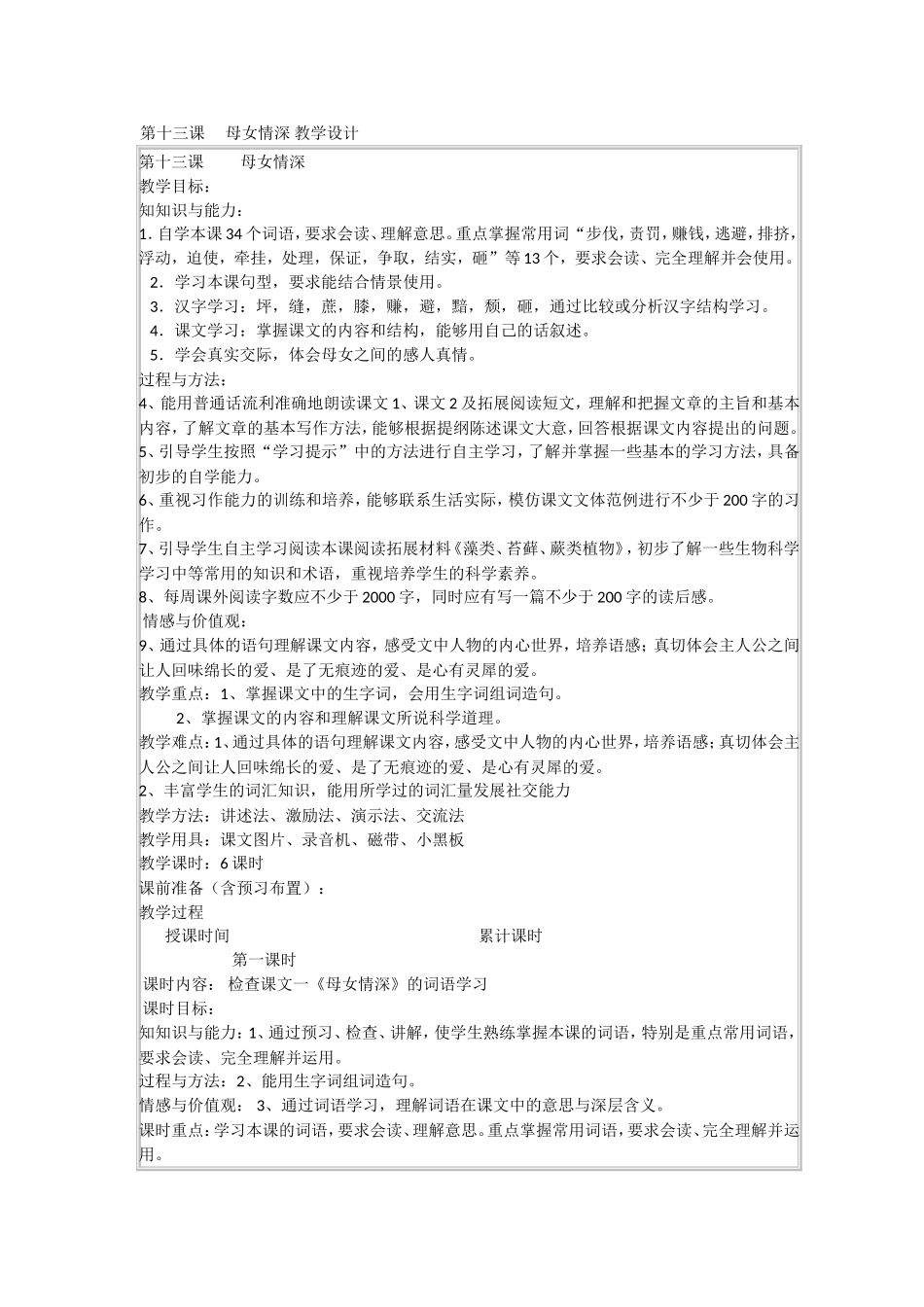 第十三课母女情深汉语_第1页