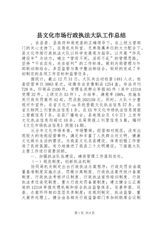 县文化市场行政执法大队工作总结