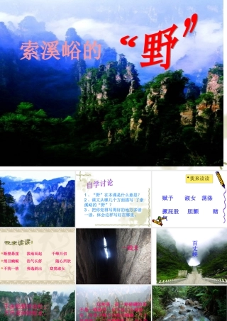 《索溪峪的“野”》课件1[1]