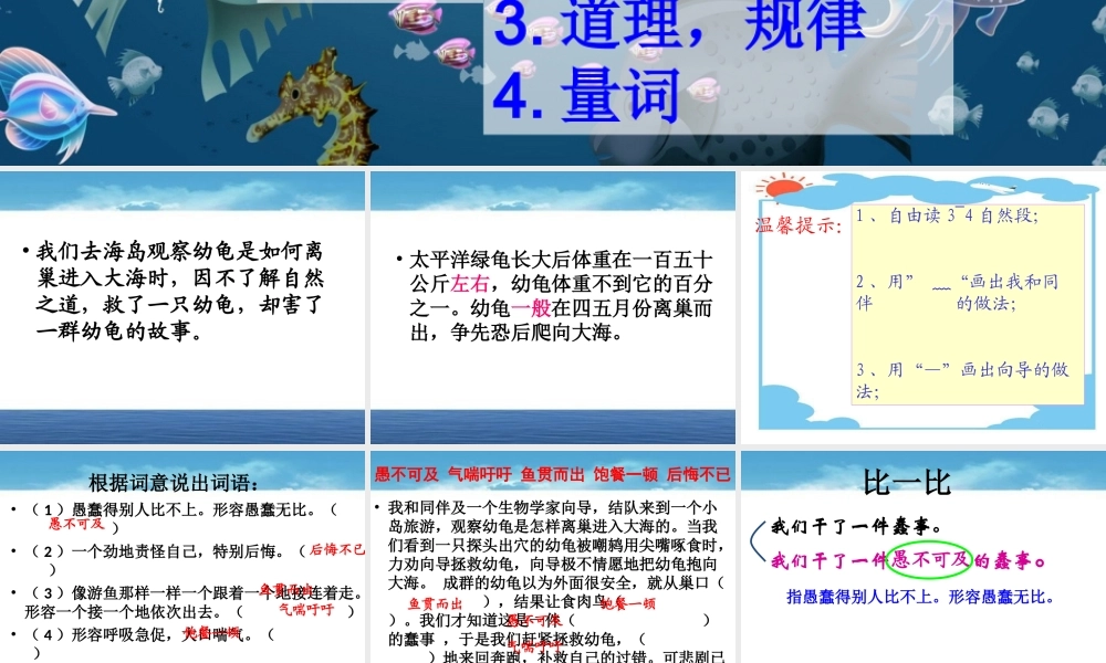 自然之道(公开课) (2)