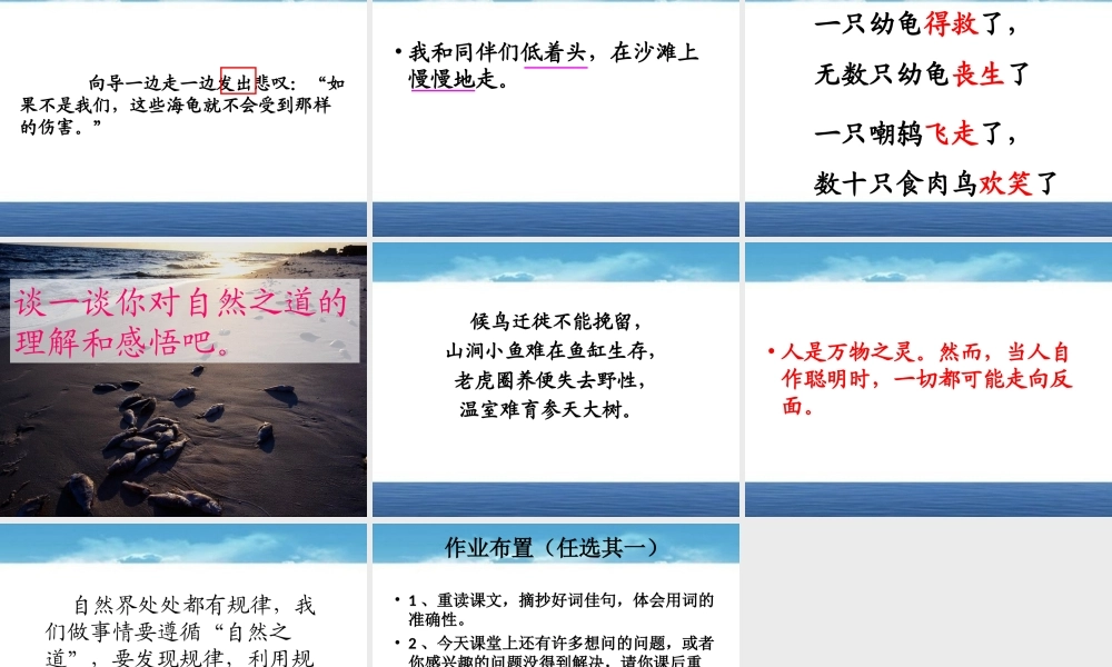 自然之道(公开课) (2)