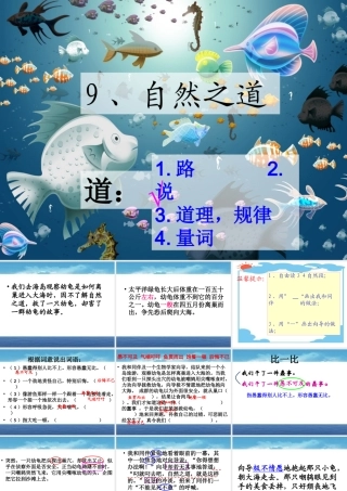 自然之道(公开课) (2)