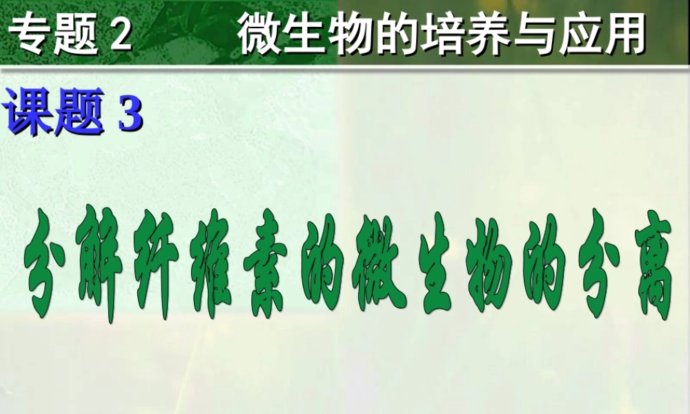 分解纤维素的微生物的分离