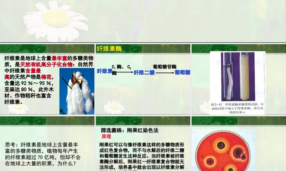 分解纤维素的微生物的分离