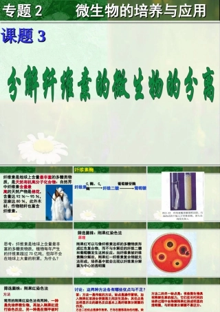 分解纤维素的微生物的分离