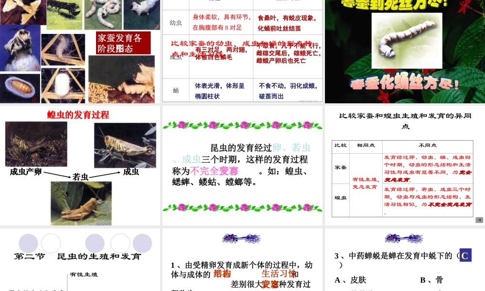 八年级生物：第二节_昆虫的生殖和发育课件人教版