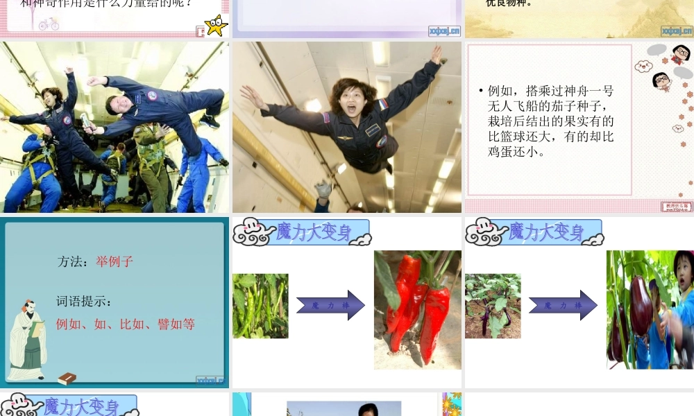 飞船上的特殊乘客(讲课用)