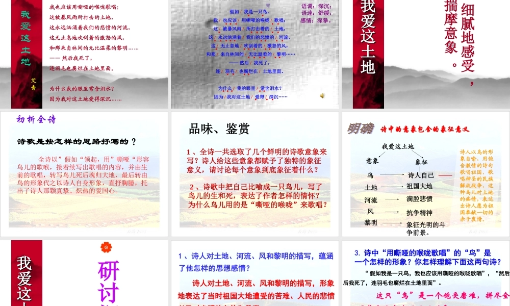 《我爱这土地》 (2)