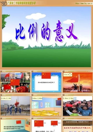 比例的意义20