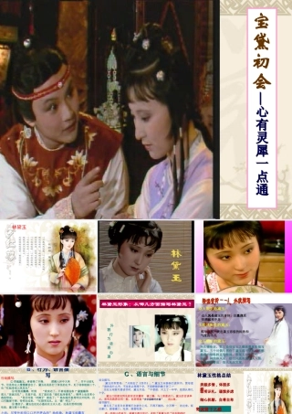 林黛玉进贾府(3、4课时)