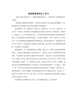 高效课堂我学会了学习