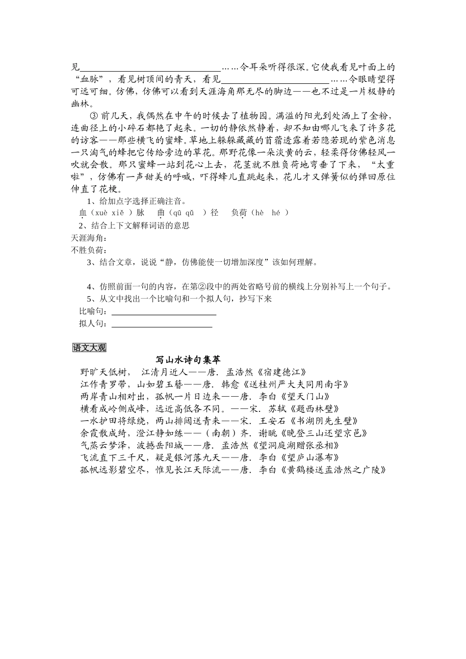 上册语文练习题（全册）_第3页