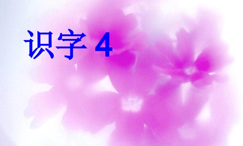 人教版一年级语文下册《识字4》课件PPT (2)