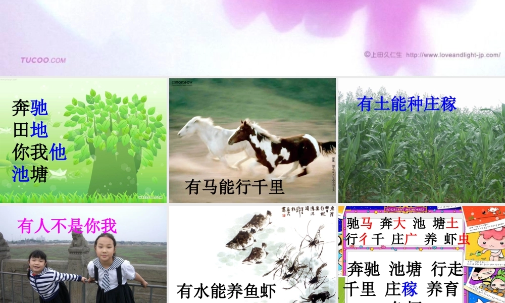 人教版一年级语文下册《识字4》课件PPT (2)
