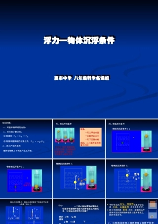 物体的浮沉条件(北师大版)