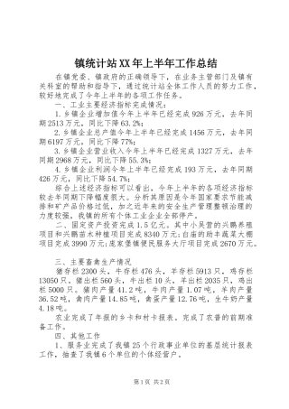 镇统计站XX年上半年工作总结
