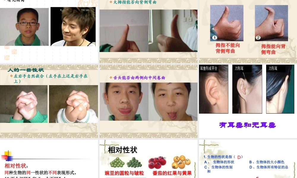 八年级生物下册第七单元第二章第一节_基因控制生物的性状课件公开课