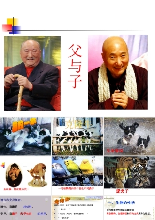 八年级生物下册第七单元第二章第一节_基因控制生物的性状课件公开课