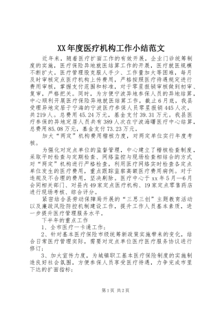 XX年度医疗机构工作小结范文