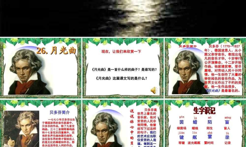 《月光曲》课件 (2)