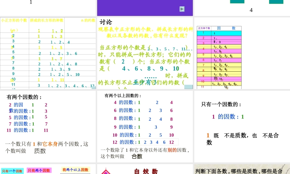 质数与合数课件