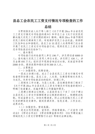 县总工会农民工工资支付情况专项检查的工作总结