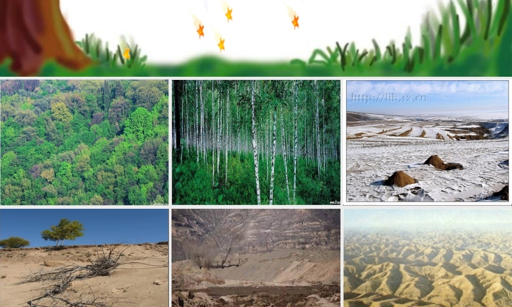 青山不老优秀课件人教版六年级上PPT