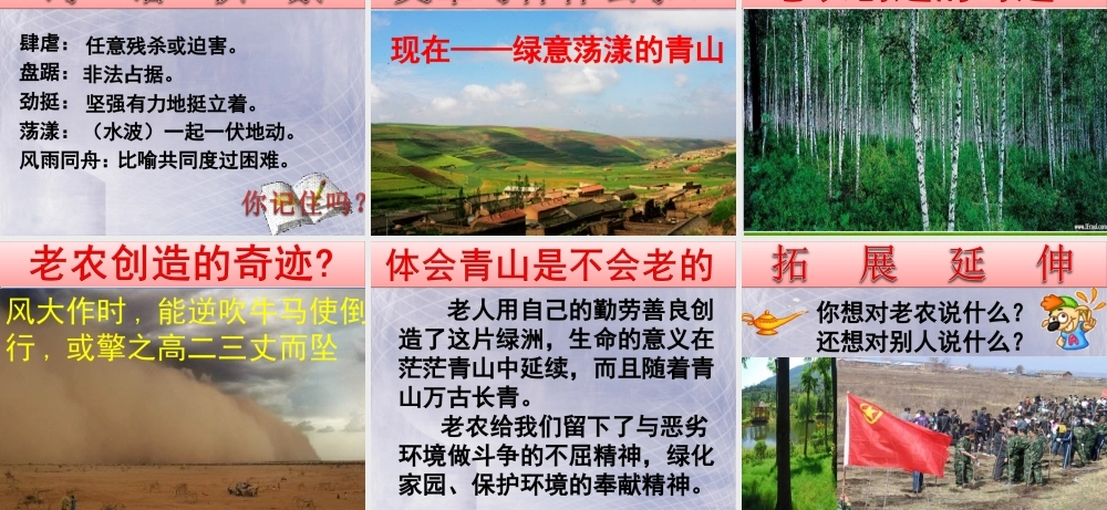 青山不老优秀课件人教版六年级上PPT