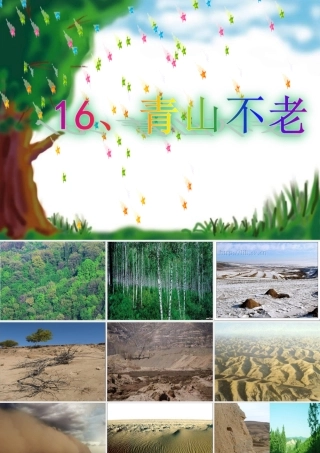 青山不老优秀课件人教版六年级上PPT