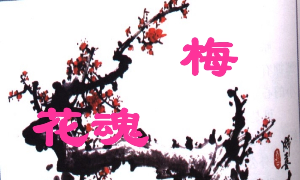 《梅花魂》课件4