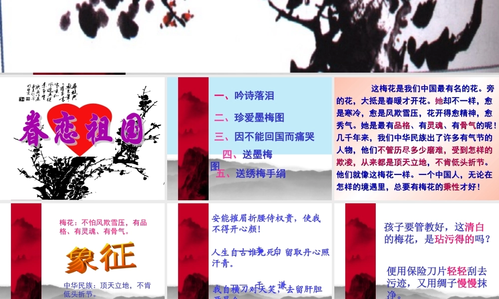 《梅花魂》课件4