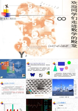 七年级数学上11(2)