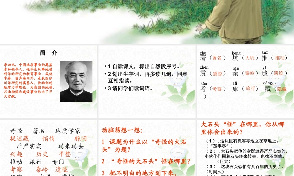 奇怪的大石头 