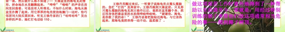金色的脚印_修改后