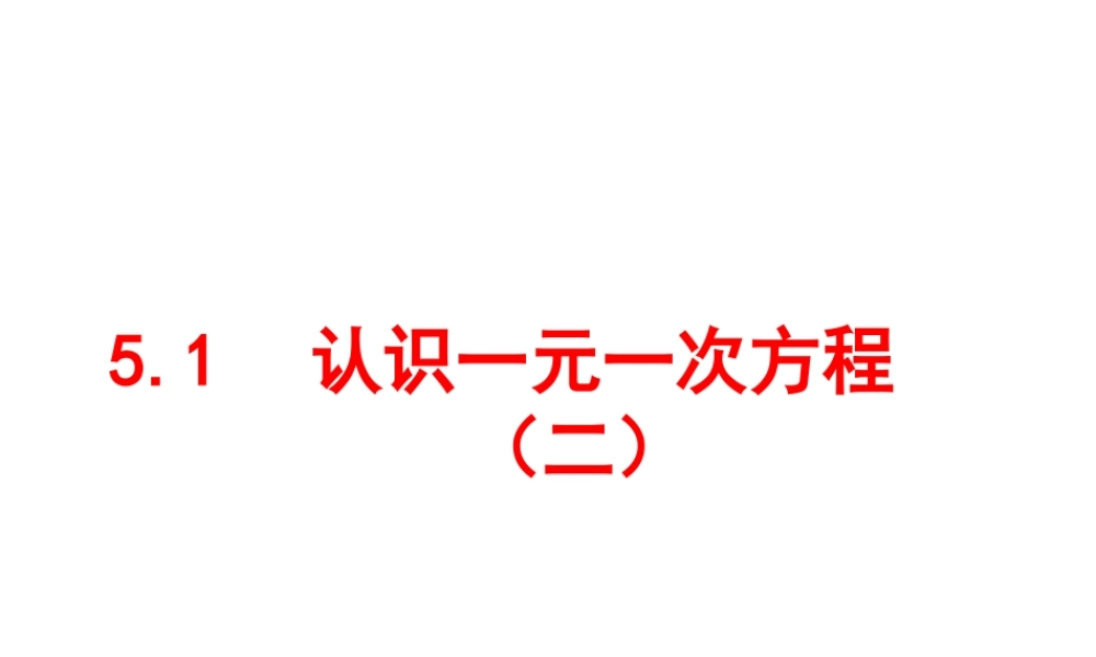 认识一元一次方程()