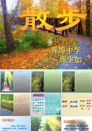 人教版七年级上册语文《散步》课件类型