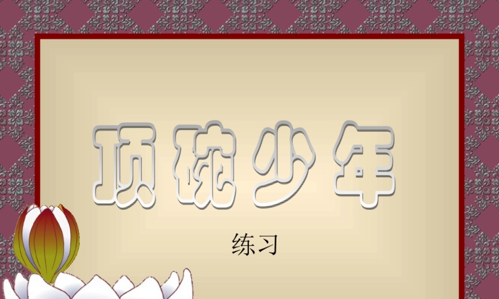 顶碗少年课件 (2)