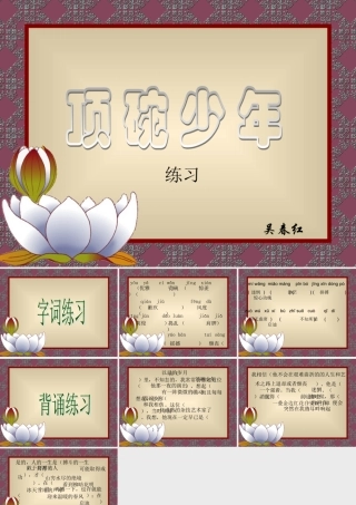 顶碗少年课件 (2)