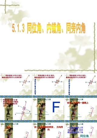 同位角、内错角、同旁内角-- ()