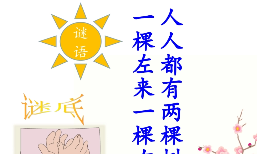 《胖乎乎的小手》课件PPT (2)