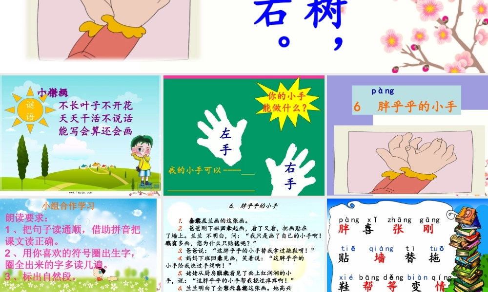 《胖乎乎的小手》课件PPT (2)