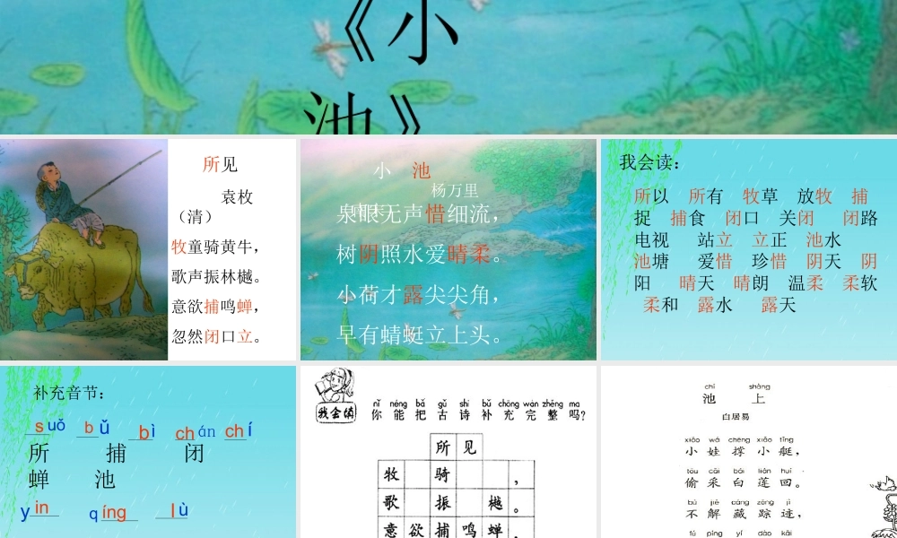 古诗两首所见小池 