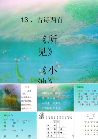 古诗两首所见小池 