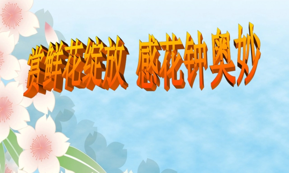 三年级13《花钟》课件